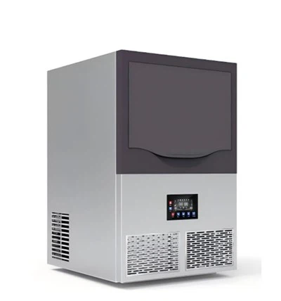 Féin {- bhí déantóir oighir chorráin